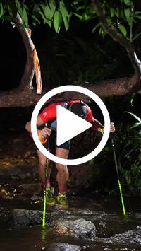 BIB:  <button type="button" onclick="openModal(27824862)" class="btn btn-primary btn-sm float-right" data-toggle="modal" data-target=".modal-high-quality">
                <i class="fa fa-download"></i> Download
                </button>